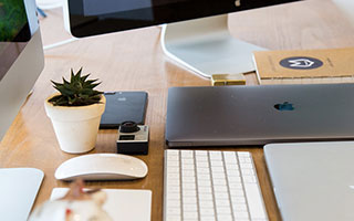 小凯文-波特：申京像小号约基奇 申京：那可是我偶像